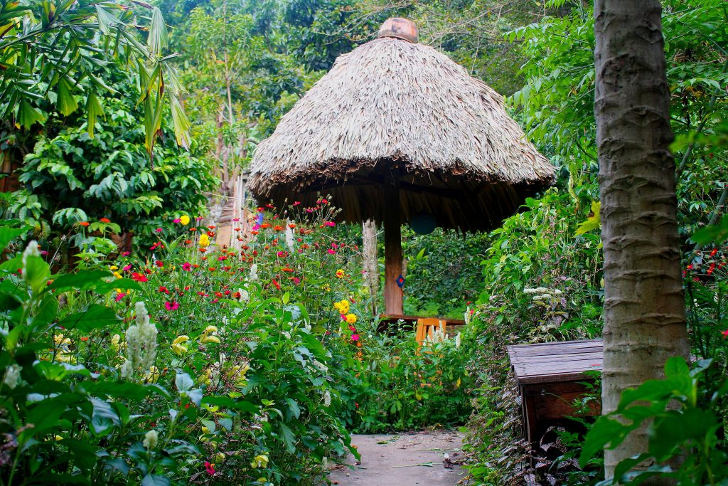 Garden and green spaces at Eco Hotel MayAchik